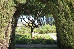 Alhambra gardens 5